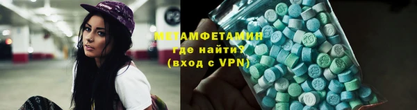 прущие грибы Надым