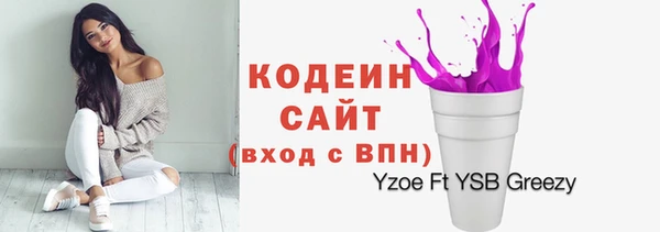 прущие грибы Надым