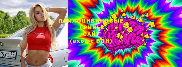 прущие грибы Надым