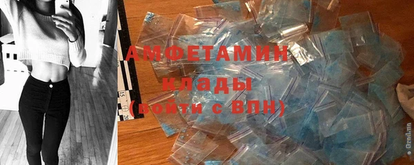 прущие грибы Надым